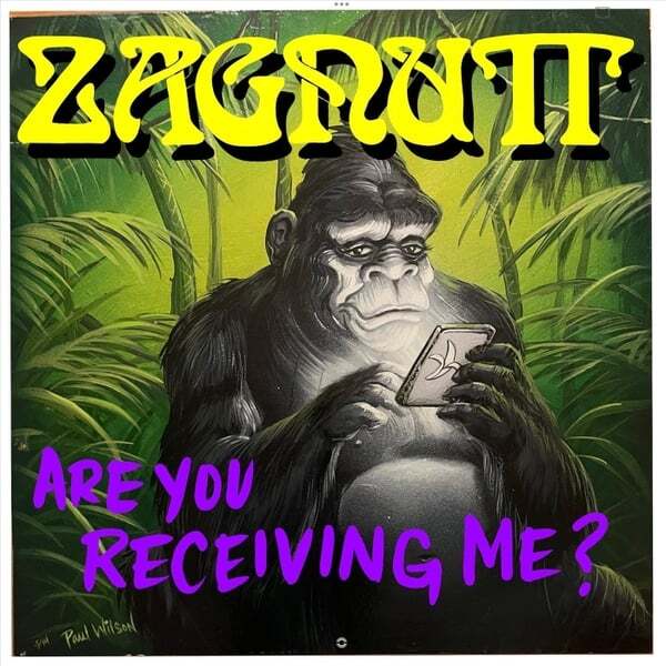 Cover art for Are You Receiving Me